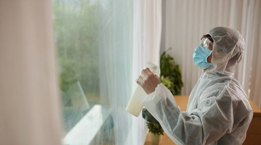 Why choose Parrottsville Wasp Nest Removal for wasp nest removal in Parrottsville